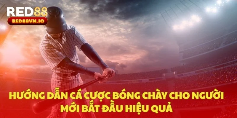 Hướng Dẫn Cá Cược Bóng Chày Cho Người Mới Bắt Đầu Hiệu Quả