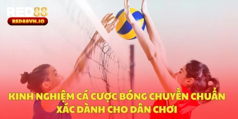 Kinh Nghiệm Cá Cược Bóng Chuyền Chuẩn Xác Dành Cho Dân Chơi