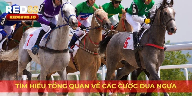 Tìm hiểu tổng quan về các cược đua ngựa