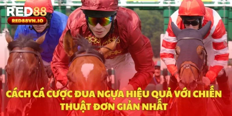 Cách Cá Cược Đua Ngựa Hiệu Quả Với Chiến Thuật Đơn Giản Nhất