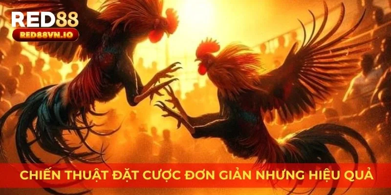 Chiến thuật đặt cược đơn giản nhưng hiệu quả